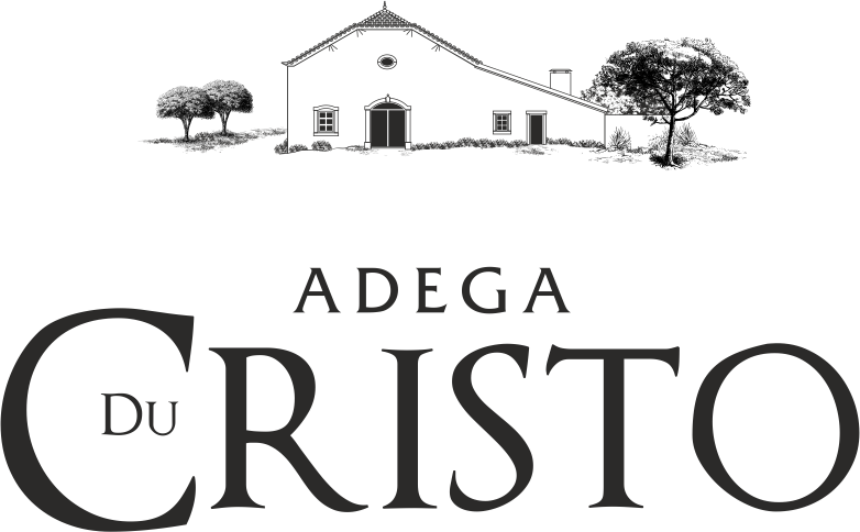 My logo